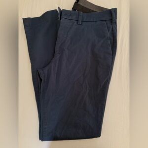Express Men's Dark Blue Chinos